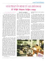 Giải pháp ổn định tỷ giá hối đoái ở việt nam hiện nay 