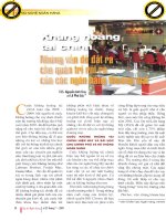 Khủng hoảng tài chính   những vấn đề đặt ra cho quản trị rủi ro của các ngân hàng thương mại 