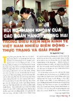 Rủi ro thnah khoản của các ngân hàng thương mại trong điều kiện nền kinh tế việt nam nhiều biến động   thực trạng và giải pháp 