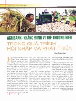 Agribank   khẳng định vị thế thương hiệu trong quá trình hội nhập và phát triển 