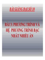 Bài giảng bài phương trình và hệ phương trình bậc nhất nhiều ẩn đại số 10 