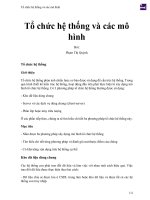 Tổ chức hệ thống và các mô hình 