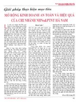 Giải pháp thực hiện mục tiêu mở rộng kinh doanh an toàn và hiệu quả của chi nhánh NHNoPTNT hà nam 