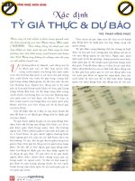 Xác định tỷ giá thực và dự báo 