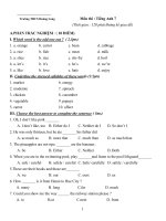 Đề thi chọn học sinh giỏi cấp huyện môn Tiếng Anh lớp 7 trường THCS Hoàng Long