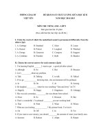 Đề khảo sát chất lượng giữa học kỳ II môn Tiếng Anh lớp 9 huyện Việt Yên