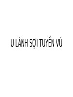 U LÀNH sợi TUYẾN vú 