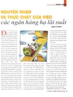 Nguyên nhân và thực chất của việc các ngân hàng hạ lãi suất 