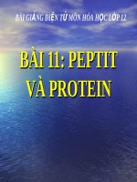 Bài giảng bài peptit và protein hóa học 12 (2) 