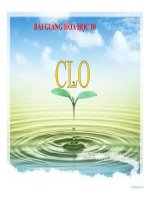 Bài giảng bài clo hóa học 10 (7) 