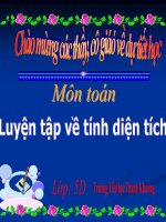 Bài giảng bài luyện tập tính diện tích toán 5 (2) 