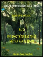 Bài giảng bài phương trình bậc nhất một ẩn đại số 8 (7) 