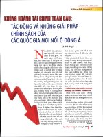 Khủng hoảng tài chính toàn cầu tác động và những giải pháp chính sách của các quốc gia mới nổi ở đông á 