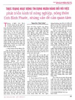 Thực trạng hoạt động tín dụng ngân hàng đối với việc phát triển kinh tế nông nghiệp, nông thôn tỉnh bình phước những vấn đề cần quan tâm 