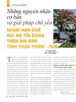 Những nguyên nhân cơ bản và giải pháp chủ yếu nhằm hạn chế rủi ro tín dụng trên địa bàn tỉnh thừa thiên   huế 
