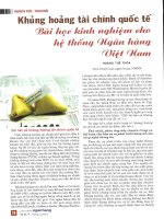 Khủng hoảng tài chính quốc tế   bài học kinh nghiệm cho hệ thống ngân hàng việt nam 