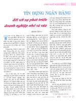 Tín dụng ngân hàng đối với sự phát triển doanh nghiệp vừa và nhỏ 