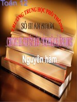 Bài giảng bài nguyên hàm giải tích 12 (10) 