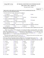 Đề thi khảo sát Tiếng Anh lớp 12 trường THPT Lê Xoay, Vĩnh Phúc năm 2014 - 2015 (lần 2)