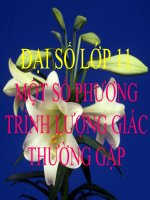 Bài giảng bài một số phương trình lượng giác thường gặp đại số 11 (2) 