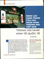 Năng lực cạnh tranh của các ngân hàng thương mại việt nam trong hội nhập kinh tế quốc tế 
