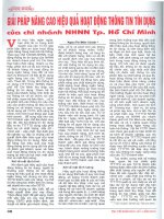 Giải pháp nâng cao hiệu quả hoạt động thông tin tín dụng của chi nhánh NHNN tp  hồ chí minh 