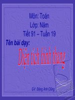 Bài giảng bài diện tích hình thang toán 5 (8) 