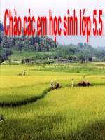 Bài giảng toán lớp 5 số thập phân bằng nhau (5) 