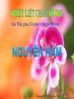 Bài giảng bài nguyên hàm giải tích 12 (2) 