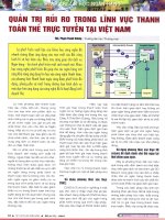 Quản trị rủi ro trong lĩnh vực thanh toán thẻ trực tuyến tại việt nam 