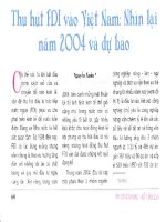 Thu hút FDI vào việt nam nhìn lại năm 2004 và dự báo 