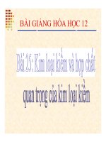 Bài giảng bài kim loại kiềm và hợp chất quan trọng của kim loại kiềm hóa học 12 (5) 