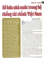 Sở hữu nhà nước trong hệ thống tài chính việt nam 