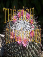 Bài giảng bài thể tích khối đa diện hình học 12 (6) 