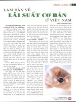 Lạm bàn về lãi suất cơ bản ở việt nam 