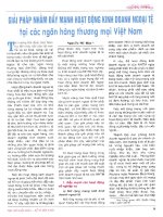 Giải pháp nhằm đẩy mạnh hoạt động kinh doanh ngoại tệ tại các ngân hàng thương mại việt nam 