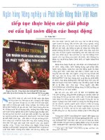 Ngân hàng nông nghiệp và phát triển nông thôn việt nam tiếp tục thực hiện các giải pháp cơ cấu lại toàn diện các hoạt động 