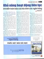 Khả năng hoạt động liên tục khi kiểm toán báo cáo tài chính các ngân hàng 