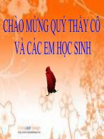 Bài giảng bài giải toán bằng cách lập phương trình đại số 8 