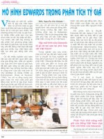 Mô hình edwards trong phân tích tỷ giá 