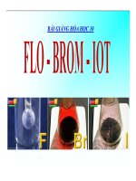 Bài giảng bài flo – brom – iot hóa học 10 (4) 