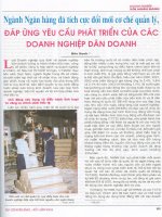 Ngành ngân hàng đã tích cực đổi mới cơ chế quản lý, đáp ứng yêu cầu phát triển của các doanh nghiệp dân doanh 