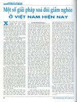 Một số giải pháp xóa đói giảm nghèo ở việt nam hiện nay 