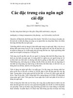 Các đặc trưng của ngôn ngữ cài đặt 