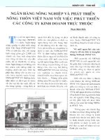 Ngân hàng nông nghiệp và phát triển nông thôn việt nam với việc phát triển các công ty kinh doanh trực thuộc 