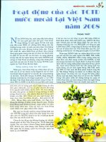 Hoạt động của các tổ chức tín dụng nước ngoài tại việt nam năm 2008 