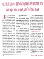 Giải pháp nâng cao hiệu quả hoạt động tín dụng tiêu dùng trên địa bàn thành phố hồ chí minh 