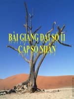 Bài giảng bài cấp số nhân đại số 11 (2) 