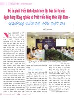 Đề án phát triển kinh doanh trên địa bàn đô thị của ngân hàng nông nghiệp và phát triển nông thôn việt nam   những vấn đề lớn đặt ra 