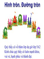 Bài giảng bài hình tròn và đường tròn toán 5 (7) 